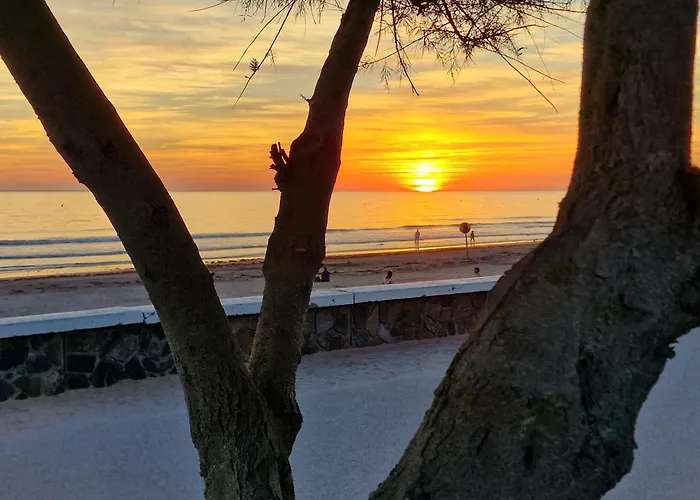 Mh 3ch Calme Bois Dormant Accueil Personnalise Kamp alanı Saint-Jean-de-Monts