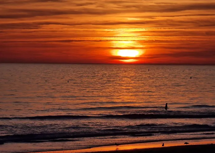 Kamp alanı Mh 3ch Calme Bois Dormant Accueil Personnalise